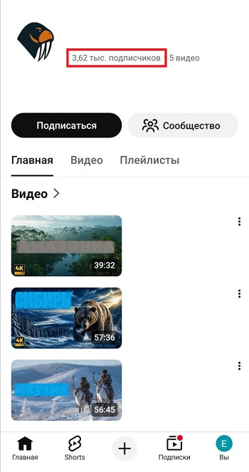 накрутка подписчиков ютуб бесплатно