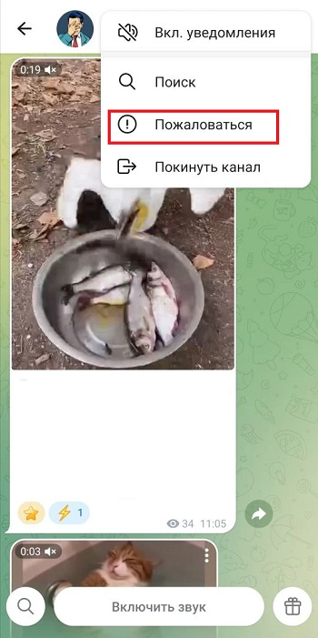накрутка жалоб телеграм