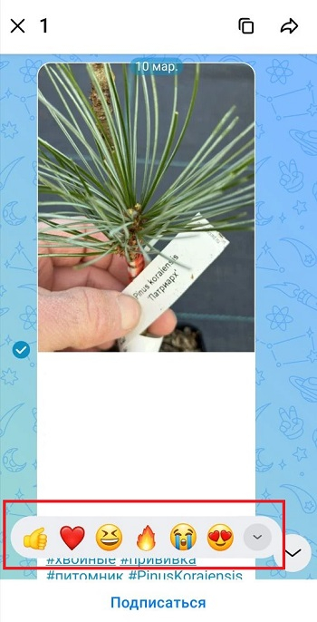 как добавить реакции в макс как добавить реакции в макс