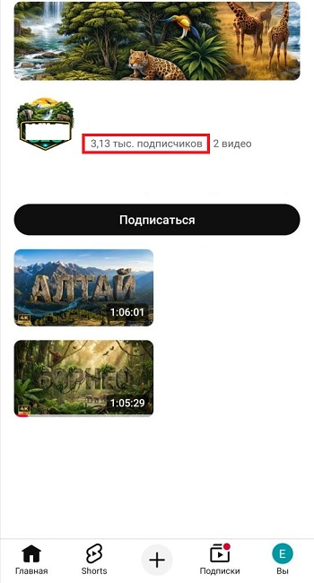 накрутить подписчиков в ютуб бесплатно