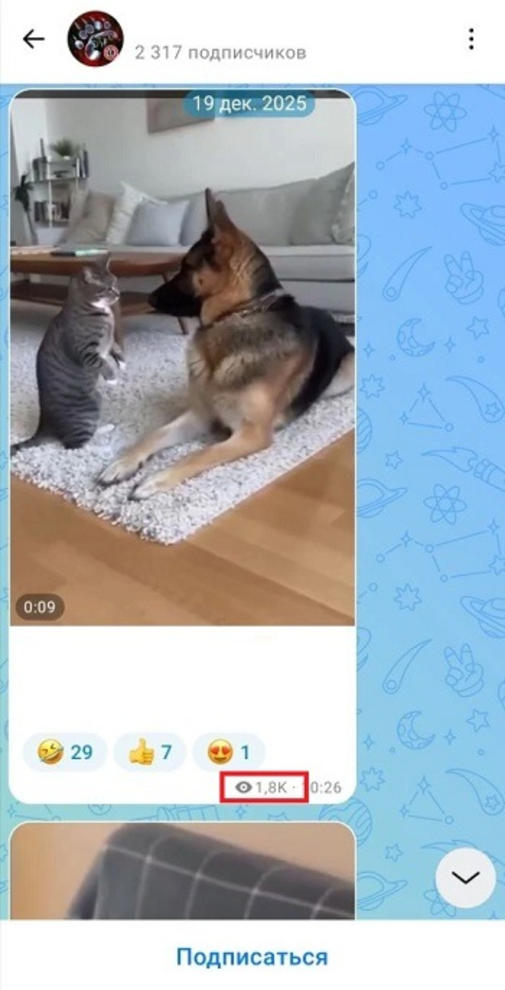 накрутить просмотры max