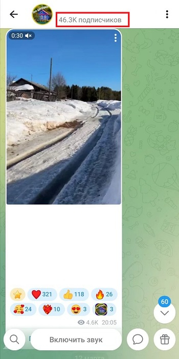 купить живых подписчиков в тг канал