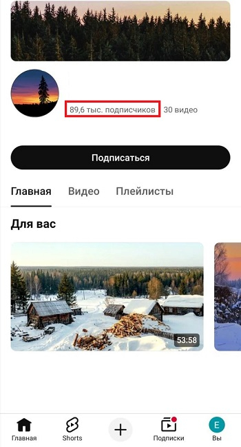 накрутить подписчиков youtube