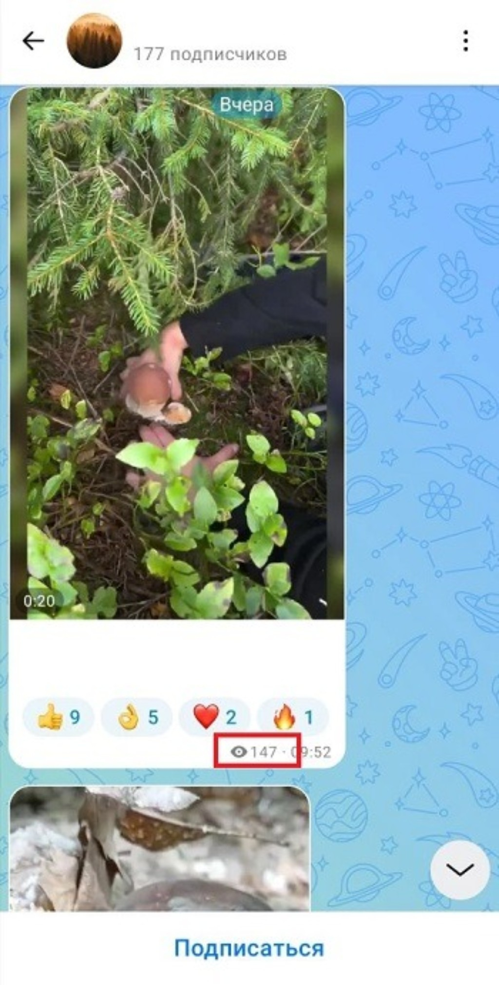 сколько стоят просмотры max