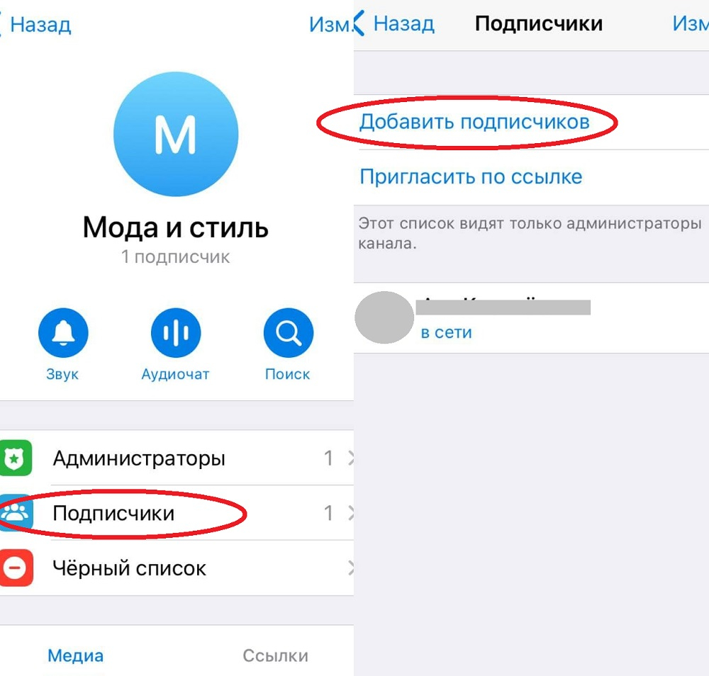 накрутить подписчиков телеграм канал