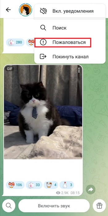 подать жалобы в телеграмме подать жалобы в телеграмме