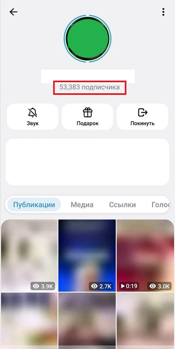 купить подписчиков в тгк