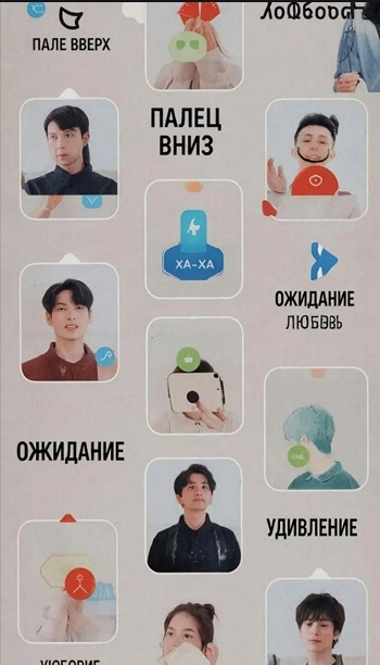 какие есть реакции в кружках тг какие есть реакции в кружках тг