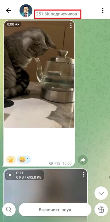 живые подписчики тгк