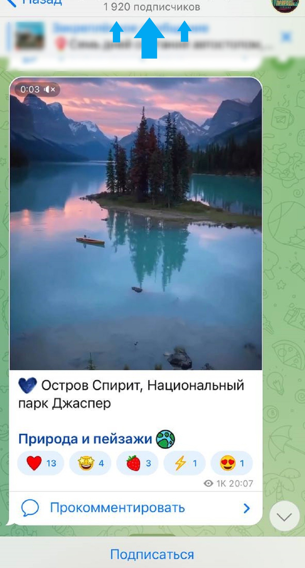 накрутка живых подписчиков телеграм
