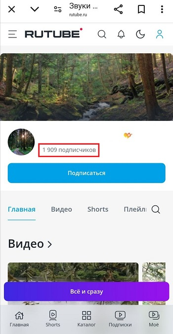 накрутка подписчиков рутуб бесплатно