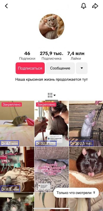 накрутка просмотров рилс инстаграм