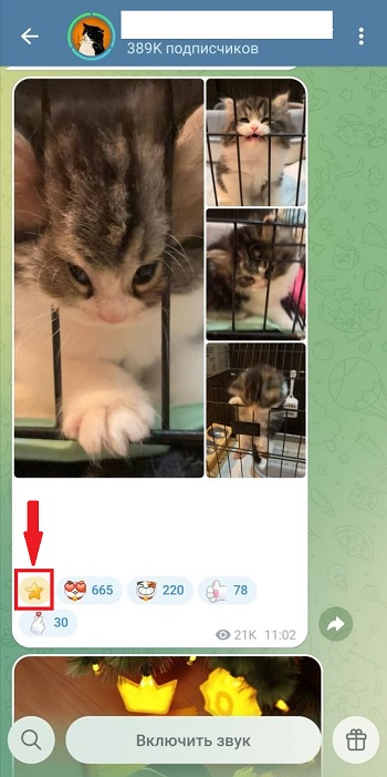 купитьзвёздытелеграм дешево