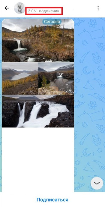 купить подписчиков макс