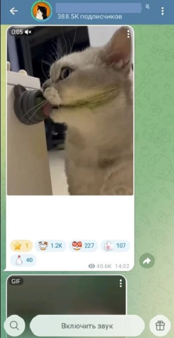 купить тг канал живой