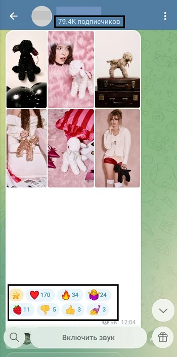 пиар тгк купить