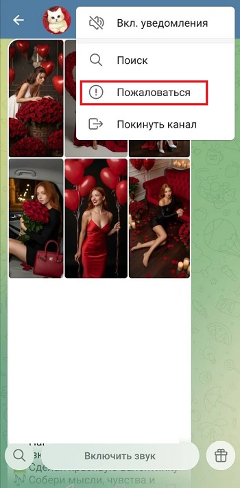 для чего нужна жалоба на профиль тг для чего нужна жалоба на профиль тг