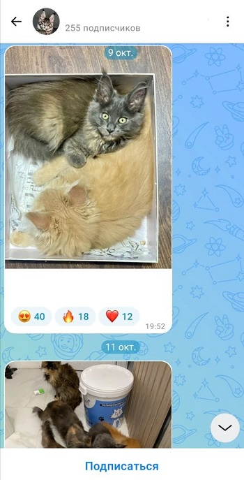 купить комментарии max поштучно купить комментарии max поштучно