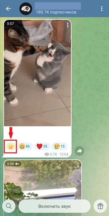 купить 100 звёзд тг