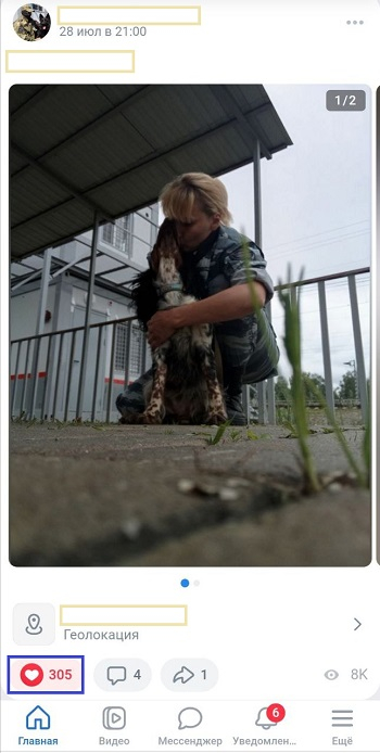 бесплатная накрутка лайков на фото