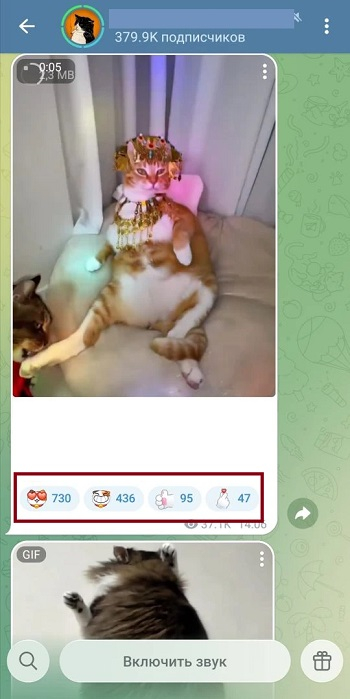 купить лайки в телеграмме купить лайки в телеграмме