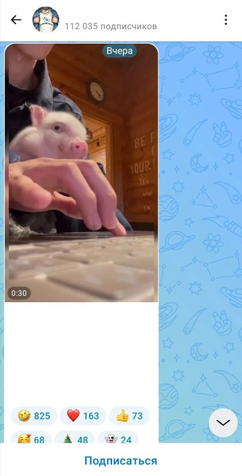 купить живые комментарии макс купить живые комментарии макс