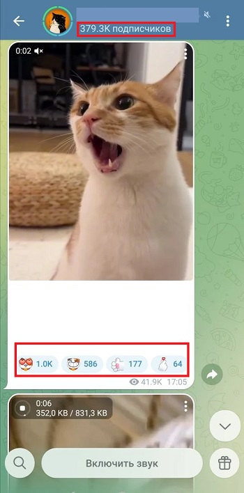 заказать рекламу тг канала