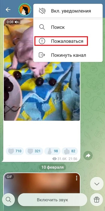 что дают жалобы на аккаунт тг что дают жалобы на аккаунт тг