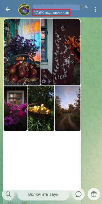 накрутить ботов телеграм