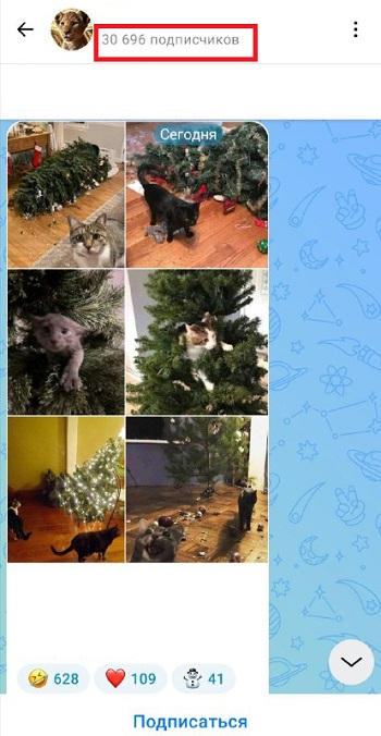 подписчики макс купить