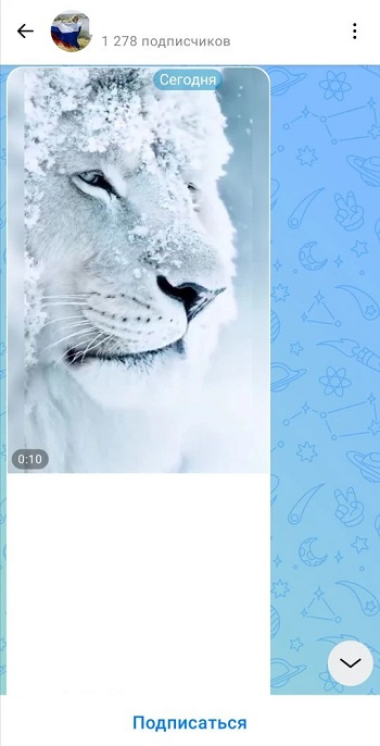 русские комментарии макс купить русские комментарии макс купить