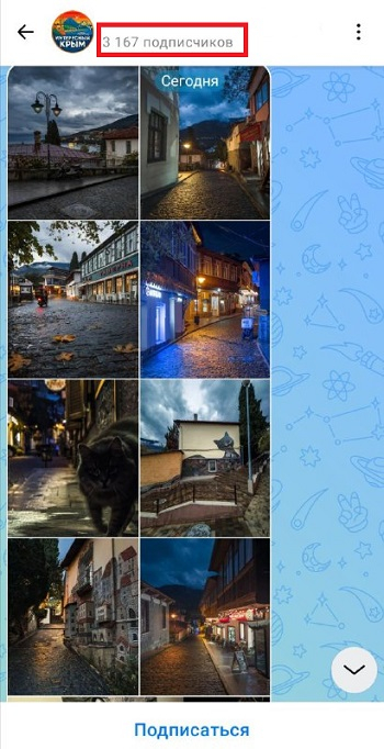 купить живых подписчиков макс