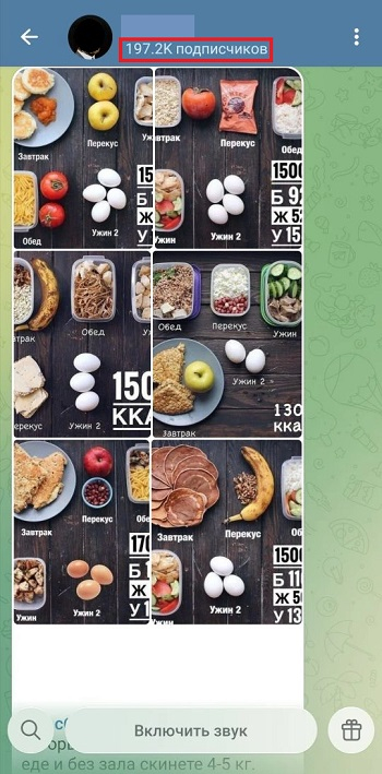 накрутка ботов в тгк бесплатно