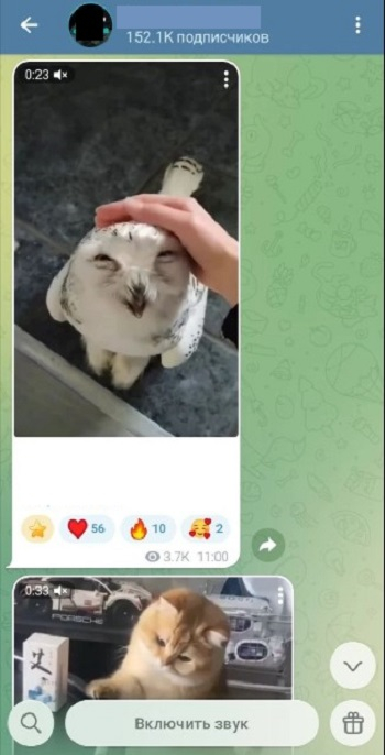 купить тгк канал дешево