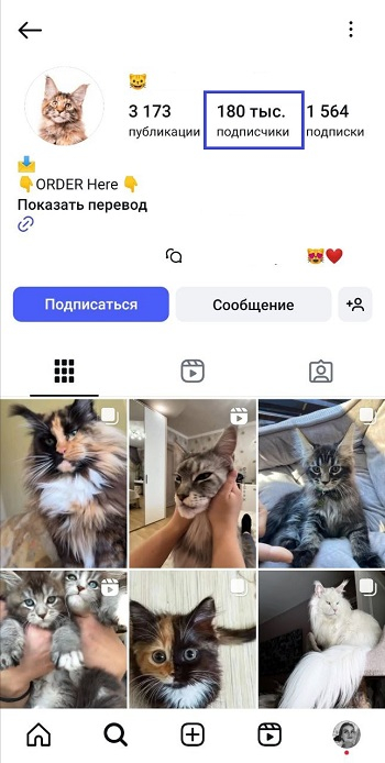 купить ботов инстаграм