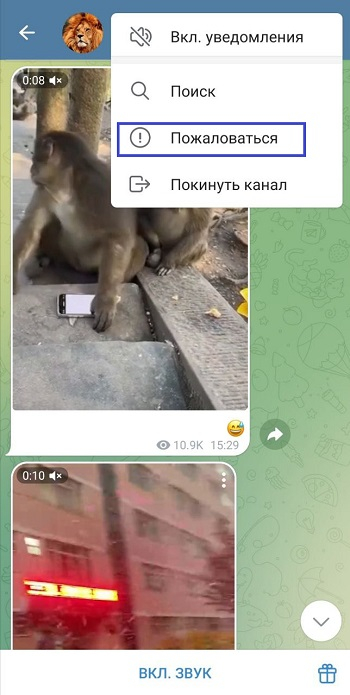 купить накрутку жалоб телеграм