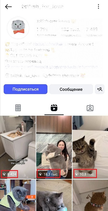 купить просмотры рилс инстаграм
