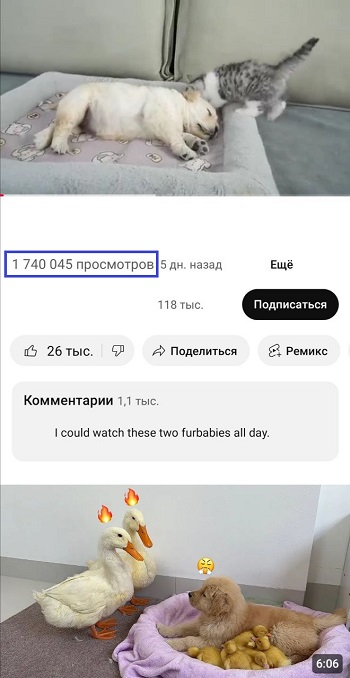 накрутка просмотров ютуб бесплатно