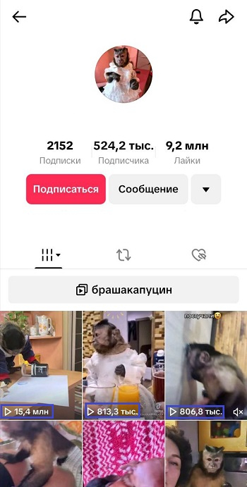 накрутка просмотров в тик ток бесплатно