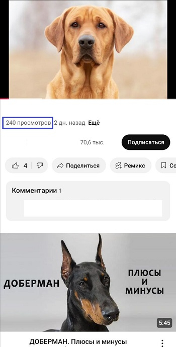 накрутить просмотры ютуб бесплатно
